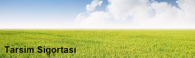 Tarsim Sigortası